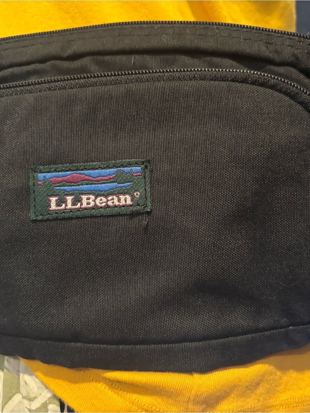 Vintage L.L. Bean Black Canvas Belt Bag with Multicolor Logo - Unisex